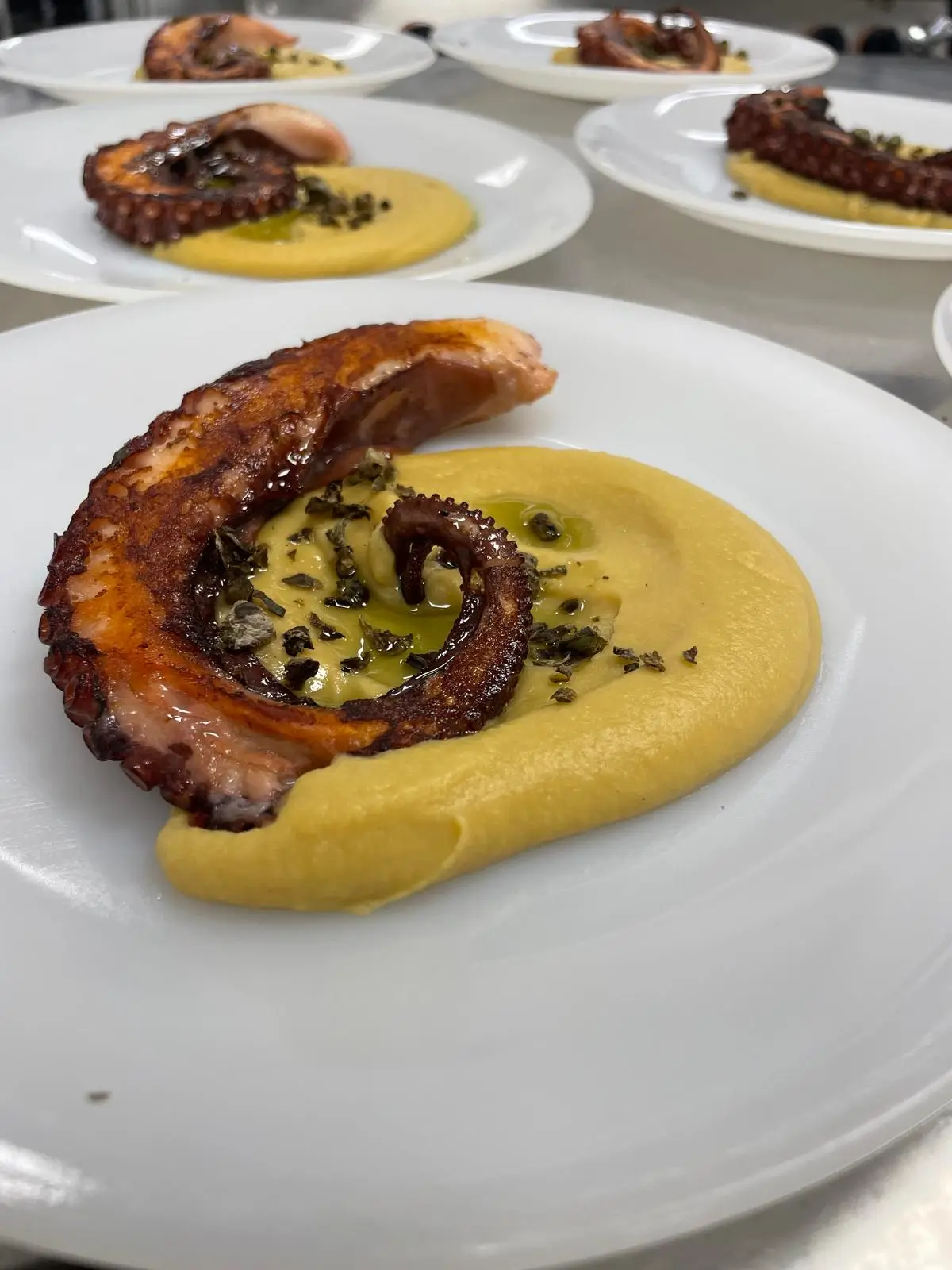Terra Ter Catering Pulpo